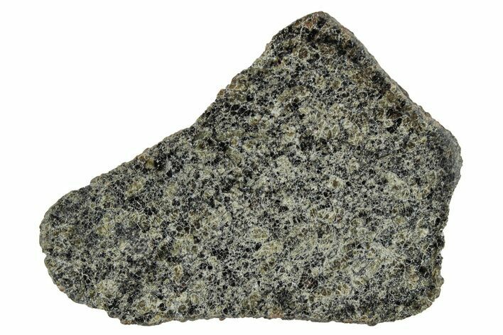 Martian Shergottite Meteorite ( g) Slice - NWA #337544